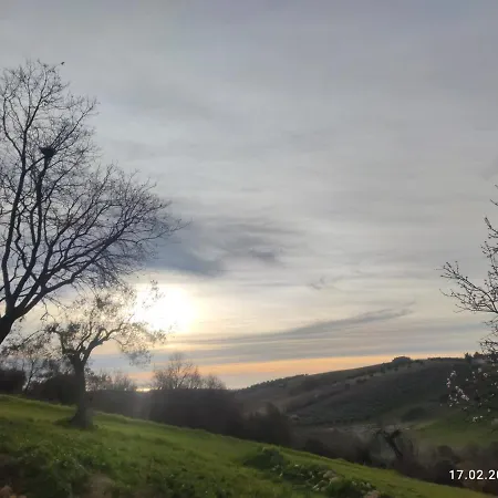 Casa Sergio, Apartamento Colonnella